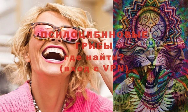 МДПВ Няндома