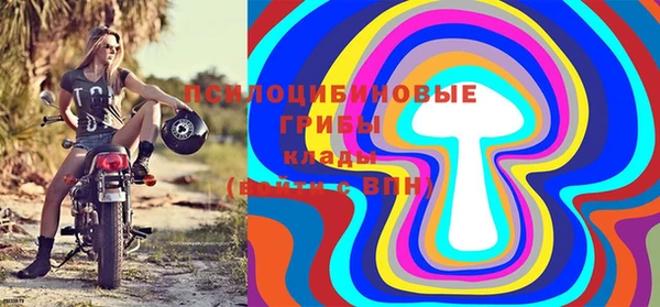 МДПВ Няндома